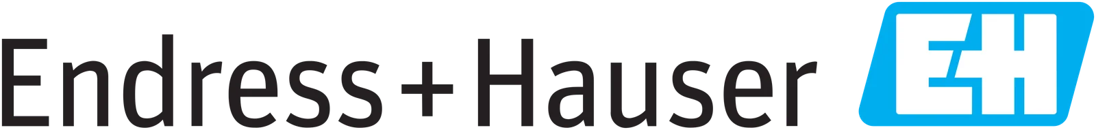 Endress+Hauser