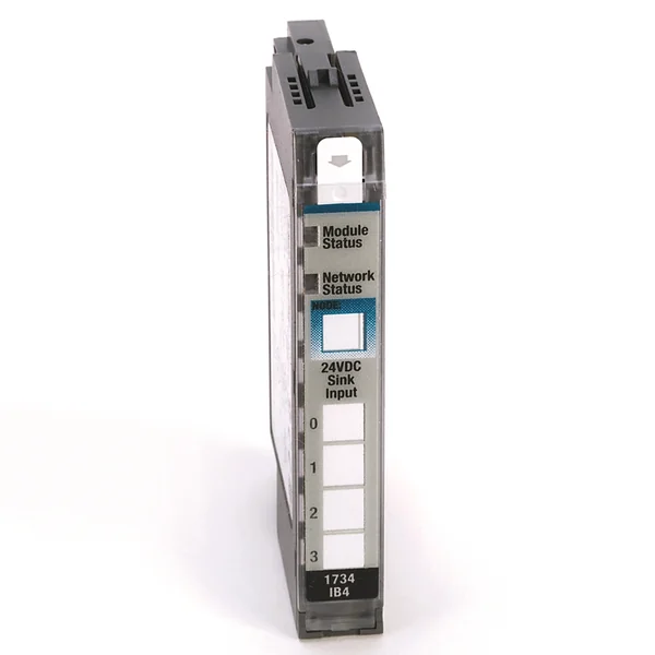 Analog voltage input module