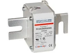 J300250