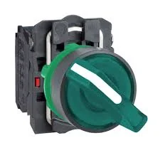 Illuminated selector switch