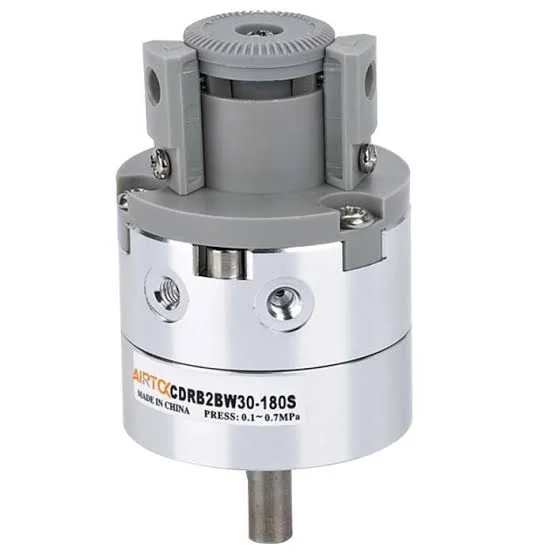 Vane-type rotary actuator cylinder