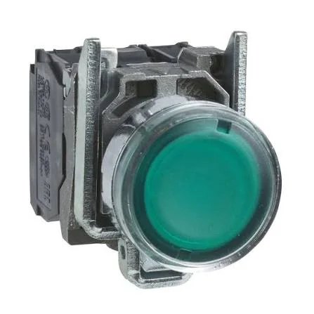 Illuminated pushbutton