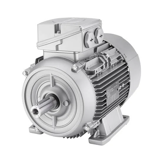 Squirrel-Cage Electric Motor