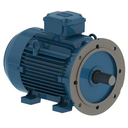 Industrial Electric Motor